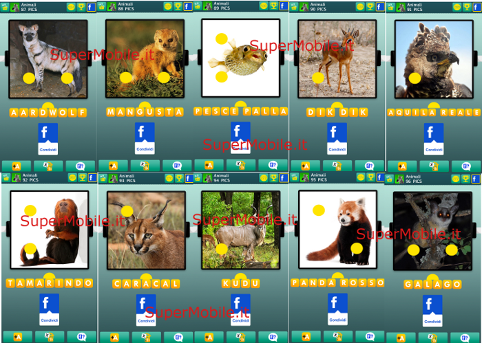 Soluzioni 100 PICS Quiz Animali