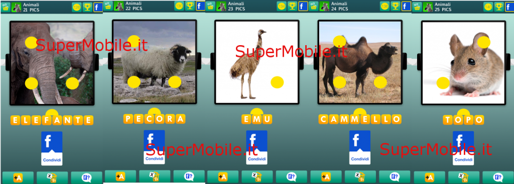 Soluzione 100 PICS Quiz Animali