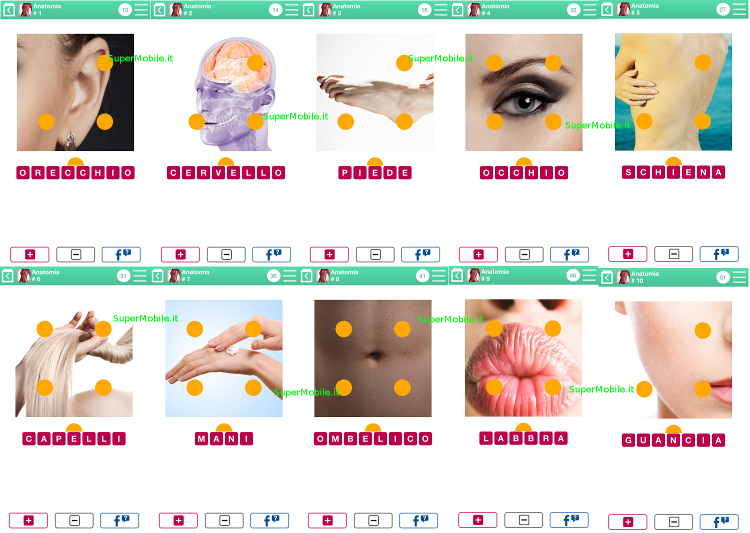 Soluzioni 100 Pics Quiz Anatomia