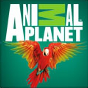 Soluzioni 100 Pics Quiz - Animal Planet